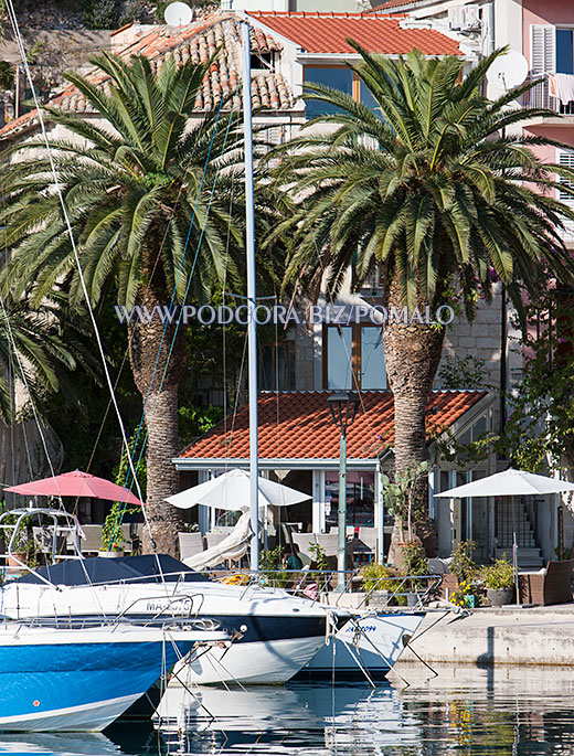 apartments Pomalo, Podgora - house